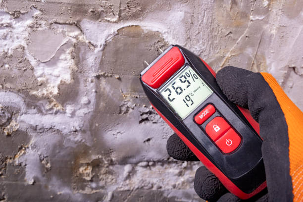 Mold Removal Process in Nowthen, MN