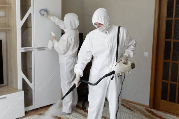 Best Mold Removal Process  in Nowthen, MN