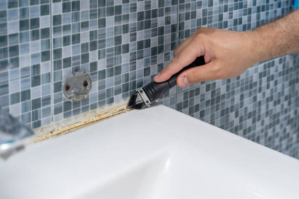 Best Local Mold Removal Service  in Nowthen, MN