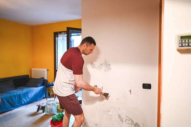 Best Mold Removal Specialists  in Nowthen, MN